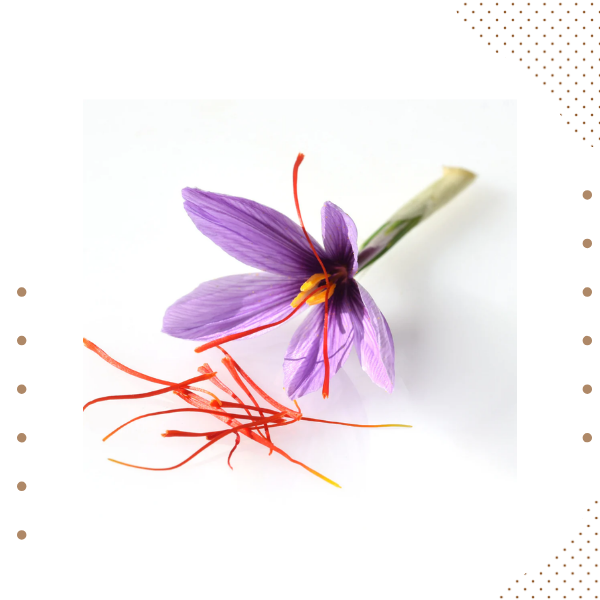 Hunza dry fruits online