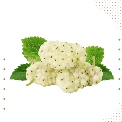 Dry Mulberry (white)