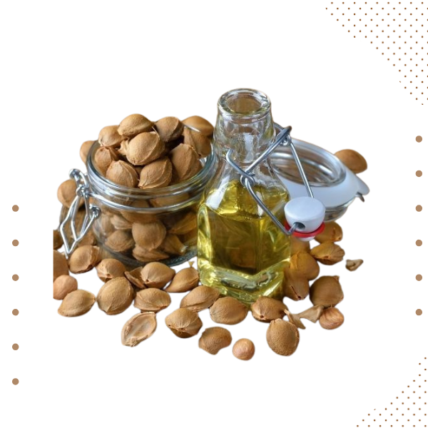 Organic Apricot Oil
